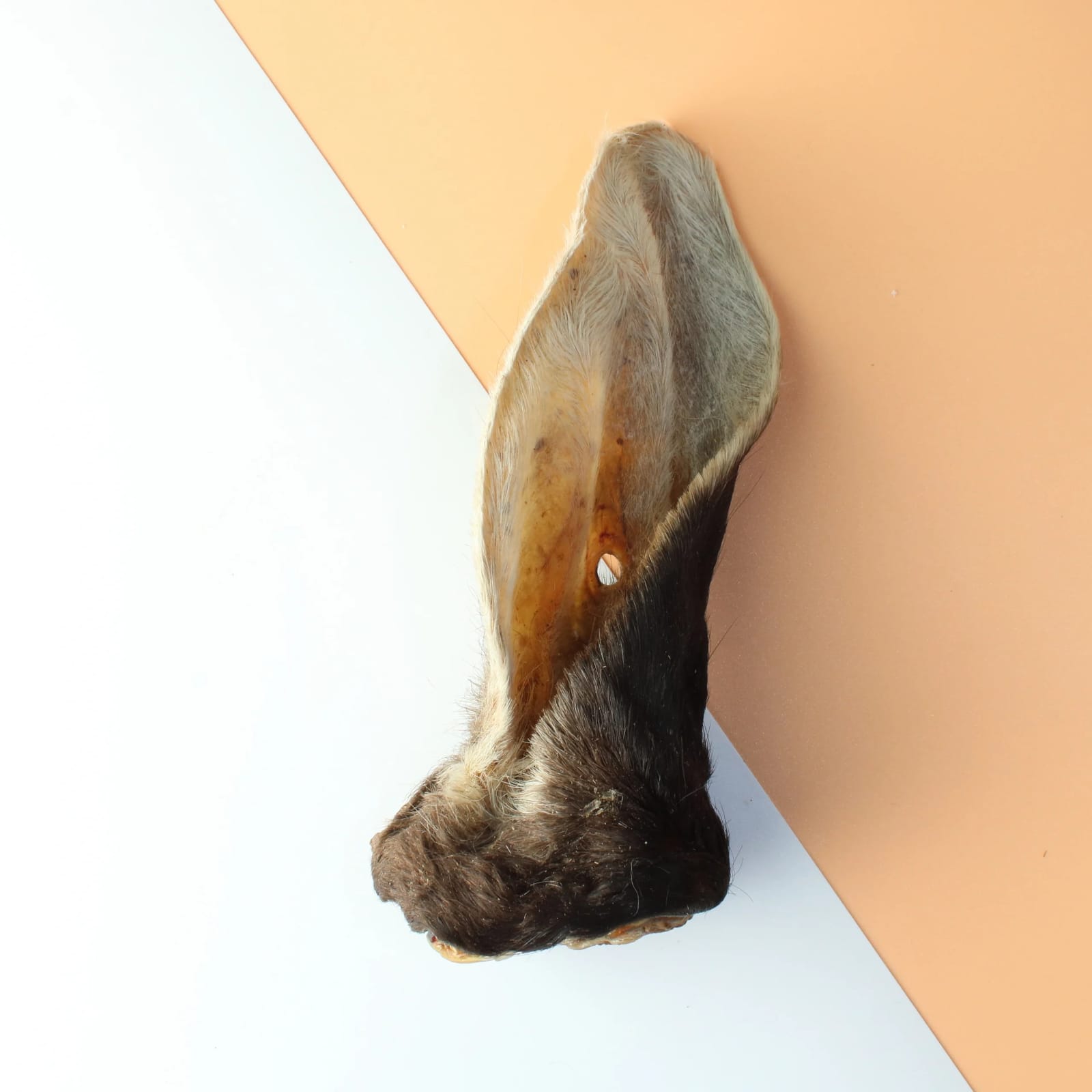 OREJA DESHIDRATADA DE RES